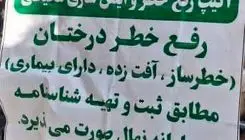 گزارش رفع خطر درختان و ایمن‌سازی محیطی در باغ فردوس