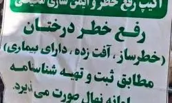 گزارش رفع خطر درختان و ایمن‌سازی محیطی در باغ فردوس