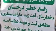 گزارش رفع خطر درختان و ایمن‌سازی محیطی در باغ فردوس
