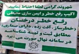 گزارش رفع خطر درختان و ایمن‌سازی محیطی در باغ فردوس