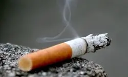 لغو ممنوعیت صادرات مجموعه‌ای از تعرفه‌ها مربوط به انواع توتون و تنباکو