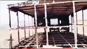به آتش کشیدن کانکس محیطبانان توسط شکارچیان متخلف