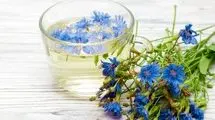 این گیاه قاتل کبد چرب شماست