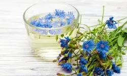 این گیاه قاتل کبد چرب شماست