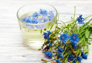 این گیاه قاتل کبد چرب شماست
