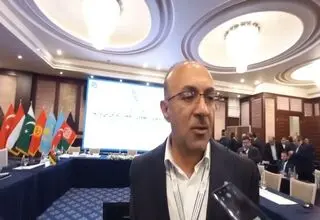 مدیرعامل گمرک: اطلاعاتی از کشفیات قاچاق سوخت داریم
