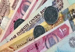 کاهش قیمت ارزهای عربی در هجدهمین روز از دی‌ماه