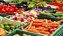  وضعیت تولید محصولات باغی و سبزی و صیفی مطلوب است