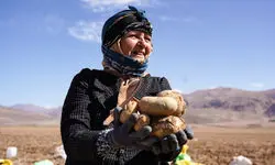 زنانی که ستون‌های پنهان زندگی‌اند