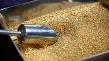 افزایش قیمت طلا تا پایان سال ۲۰۲۶ به ۶ هزار و ۳۰۰ دلار به ازای هر اونس