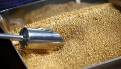 افزایش قیمت طلا تا پایان سال ۲۰۲۶ به ۶ هزار و ۳۰۰ دلار به ازای هر اونس