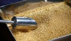 افزایش قیمت طلا تا پایان سال ۲۰۲۶ به ۶ هزار و ۳۰۰ دلار به ازای هر اونس