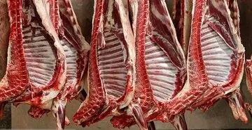 اعلام قیمت انواع گوشت قرمز؛ گوسفندی یک میلیون ۸۴۹ هزار تومان!