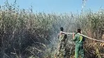 عامل آتش‌سوزی تالاب انزلی دستگیر شد