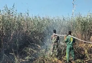 عامل آتش‌سوزی تالاب انزلی دستگیر شد