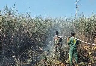 عامل آتش‌سوزی تالاب انزلی دستگیر شد