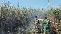 عامل آتش‌سوزی تالاب انزلی دستگیر شد