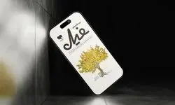 اولین دوماهنامه فیدیبو منتشر شد