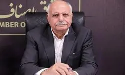 نمی‌توان واردات و توزیع همه کالاها را یک‌باره به بخش خصوصی واگذار کرد