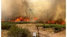 تصاویری از آتش سوزی گسترده در کوه های قدس اشغالی