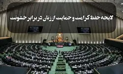دولت و مجلس درباره لایحه حفظ کرامت و حمایت از زنان در برابر خشونت به تفاهم رسیدند؟