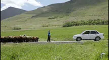 «دشت می‌خواند» از جشنواره فیلم آلبانی جایزه گرفت
