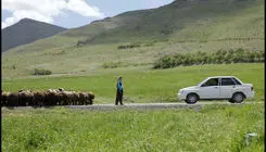 «دشت می‌خواند» از جشنواره فیلم آلبانی جایزه گرفت