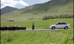 «دشت می‌خواند» از جشنواره فیلم آلبانی جایزه گرفت