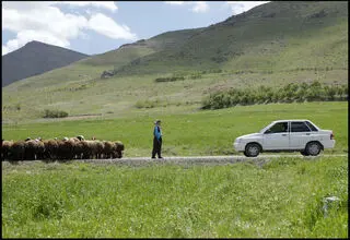 «دشت می‌خواند» از جشنواره فیلم آلبانی جایزه گرفت