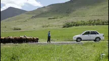 «دشت می‌خواند» از جشنواره فیلم آلبانی جایزه گرفت