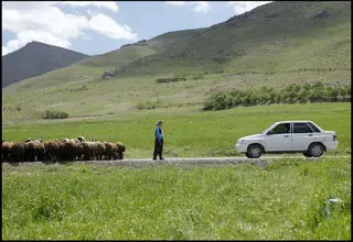 «دشت میخواند» از جشنواره فیلم آلبانی جایزه گرفت
