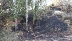 آتش‌سوزی در پارک کلانتر تبریز