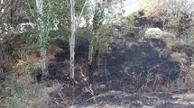 آتش‌سوزی در پارک کلانتر تبریز