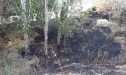 آتش‌سوزی در پارک کلانتر تبریز