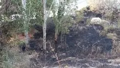 آتش‌سوزی در پارک کلانتر تبریز