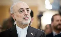 علی‌اکبر صالحی: امیدوارم شیطنت‌های داخلی مدیریت شوند