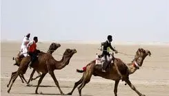 حضور ایران در پنجمین اجلاس فدراسیون جهانی شترسواری 