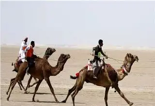 حضور ایران در پنجمین اجلاس فدراسیون جهانی شترسواری 