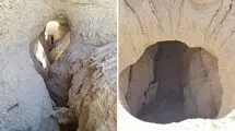 ماجرای خشک شدن قناتی که سرو ۴۰۰۰ ساله ابرکوه را آبیاری می‌کرد