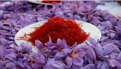 رشد ۲ تا ۳ درصدی قیمت زعفران