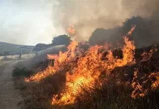 شناسایی عوامل آتش‌سوزی آبیدر سنندج/۳ جوان 