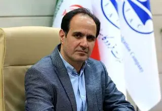 کشورهای منطقه به دنبال ایجاد یک ساختار واحد هوانوردی هستند