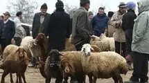 اعلام قیمت قربانی برای حج سال آینده