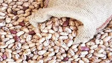 فروش لوبیاچیتی ۵۰۰ هزارتومانی تخلف است