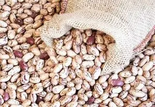 فروش لوبیاچیتی ۵۰۰ هزارتومانی تخلف است