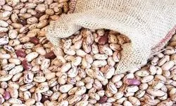 فروش لوبیاچیتی ۵۰۰ هزارتومانی تخلف است