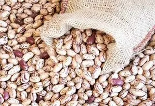 فروش لوبیاچیتی ۵۰۰ هزارتومانی تخلف است
