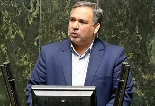 شفاف‌سازی مجلس درباره ارز ترجیحی؛ به ما اتهام زدند!