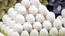 خریداری تخم مرغ با نرخ ۶۵ هزارتومان از مرغدار؛ صادارت ادامه دارد