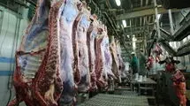 بازار گوشت و دام در وضعیت عادی است